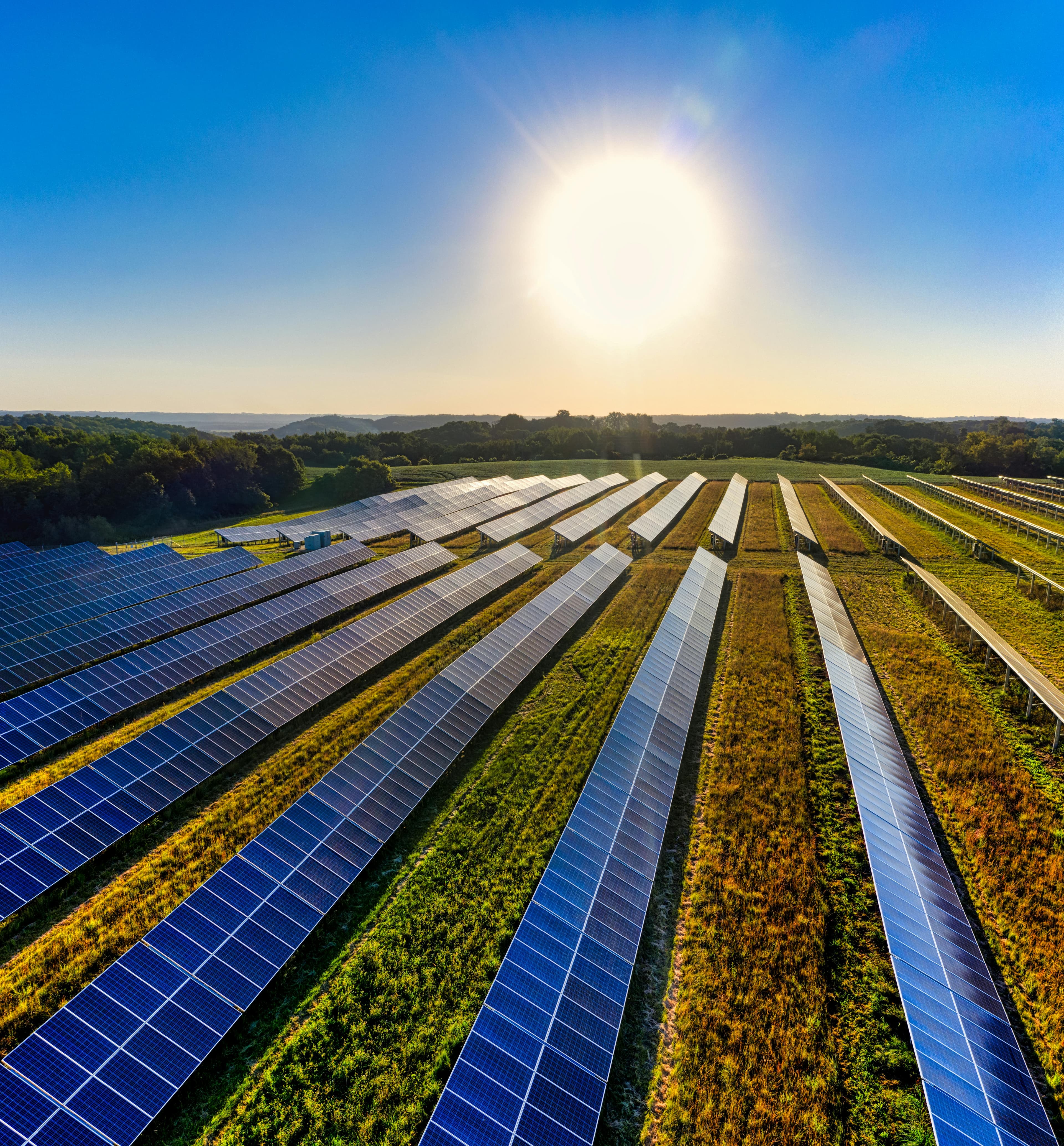 Solar farm at sunset